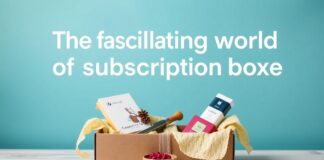Die faszinierende Welt der Abonnementboxen: Ein Überblick The fascinating world of subscription boxes: An overview