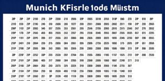 Münchens neue PLZ-Suche: 8.000 Straßen mit Postleitzahlen im Überblick