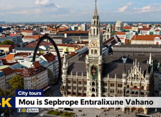 5 Münchner Stadtrundfahrten im Vergleich: Welche lohnt sich wirklich?